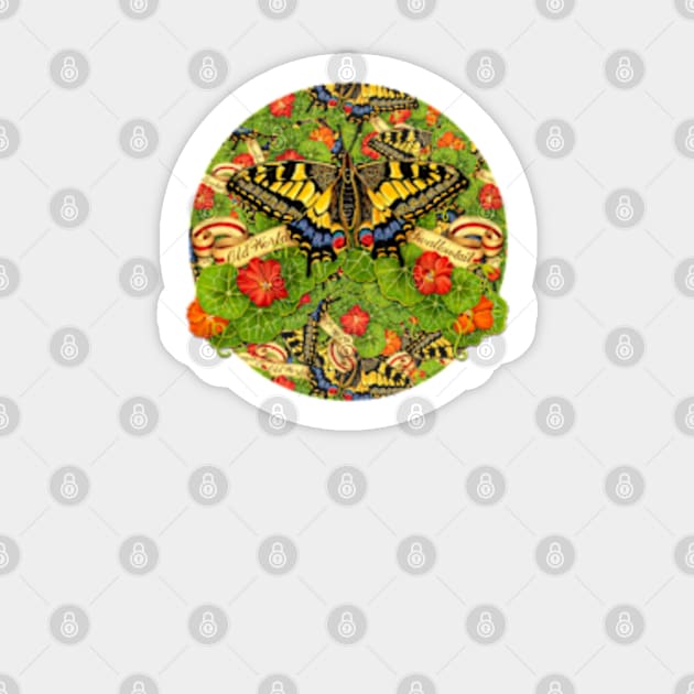 Swallowtail Butterfly Cacophony Sticker by PatriciaSheaArt